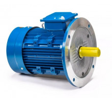 Электродвигатель 5Аи 100 L4 4/1500 IM 3081 01.01.213682